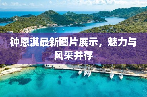 2025年3月 第28页