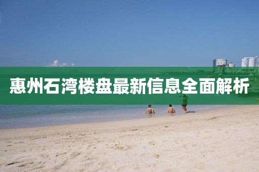 惠州石湾楼盘最新信息全面解析
