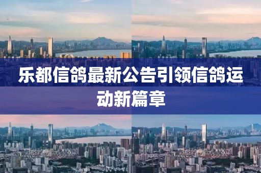 乐都信鸽最新公告引领信鸽运动新篇章