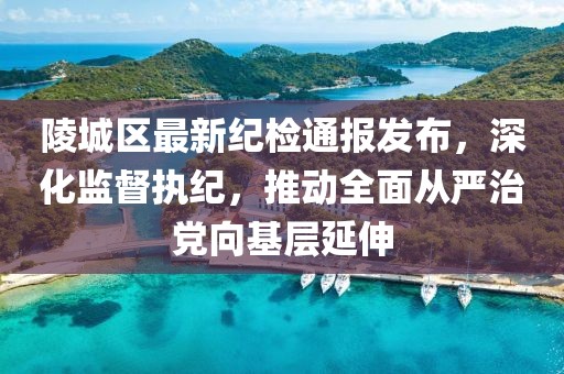 陵城区最新纪检通报发布，深化监督执纪，推动全面从严治党向基层延伸