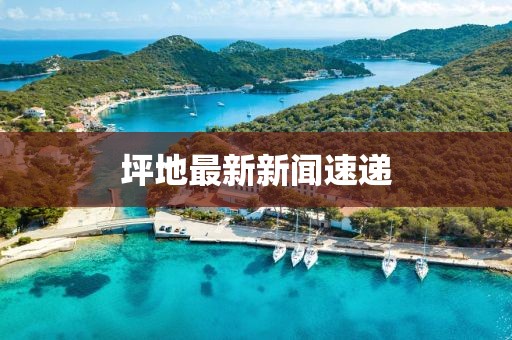 坪地最新新闻速递