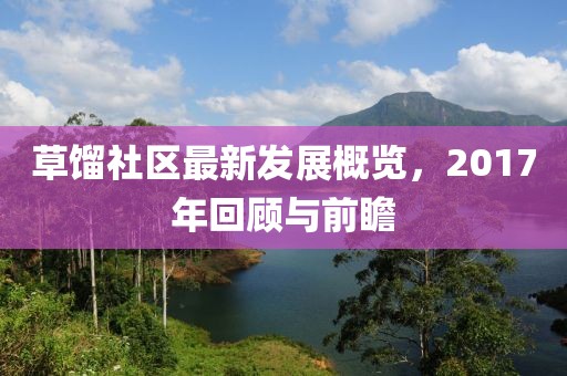 草馏社区最新发展概览，2017年回顾与前瞻