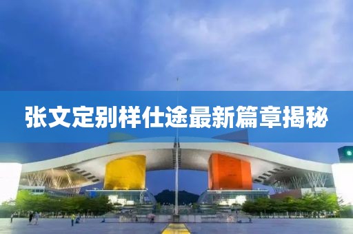 张文定别样仕途最新篇章揭秘