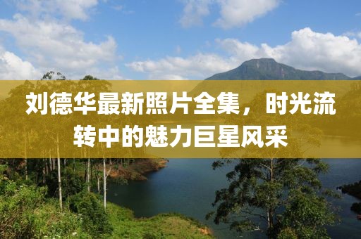 刘德华最新照片全集，时光流转中的魅力巨星风采