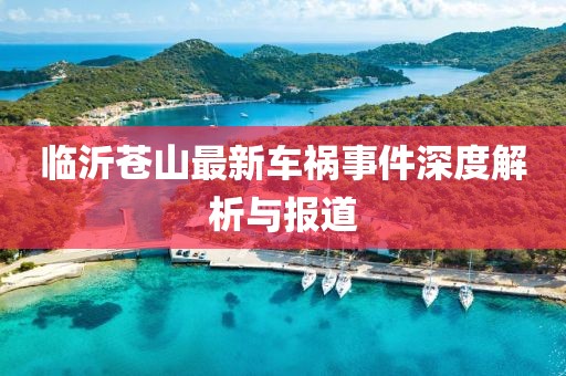 临沂苍山最新车祸事件深度解析与报道