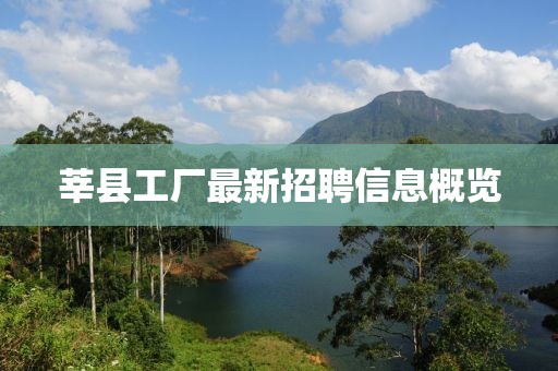莘县工厂最新招聘信息概览