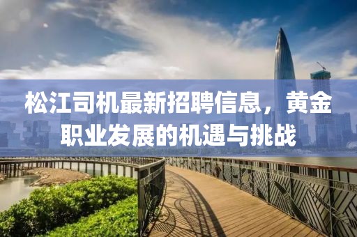 松江司机最新招聘信息，黄金职业发展的机遇与挑战