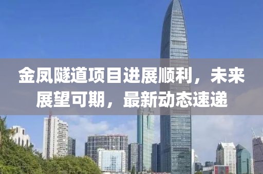 金凤隧道项目进展顺利，未来展望可期，最新动态速递