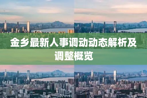 金乡最新人事调动动态解析及调整概览