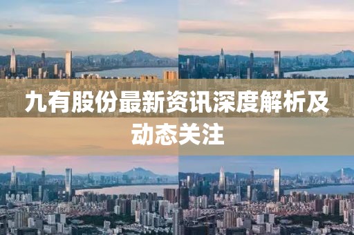 九有股份最新资讯深度解析及动态关注