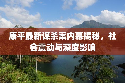康平最新谋杀案内幕揭秘，社会震动与深度影响