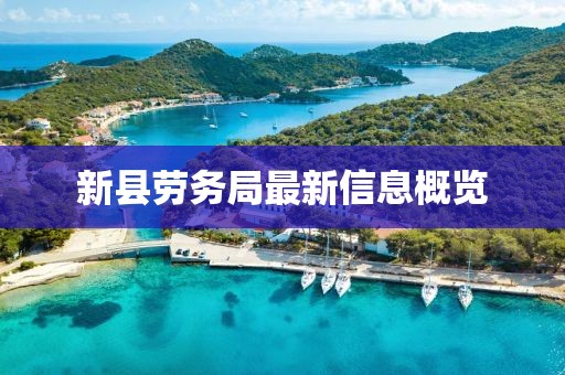 新县劳务局最新信息概览