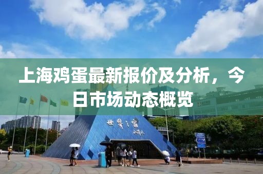 上海鸡蛋最新报价及分析，今日市场动态概览