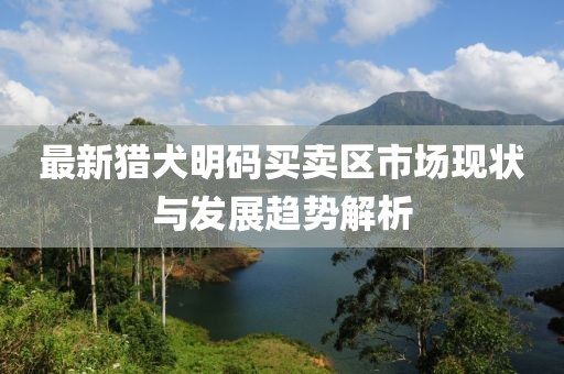 最新猎犬明码买卖区市场现状与发展趋势解析