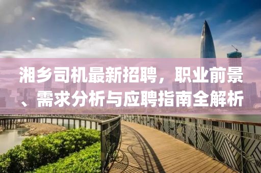 湘乡司机最新招聘，职业前景、需求分析与应聘指南全解析