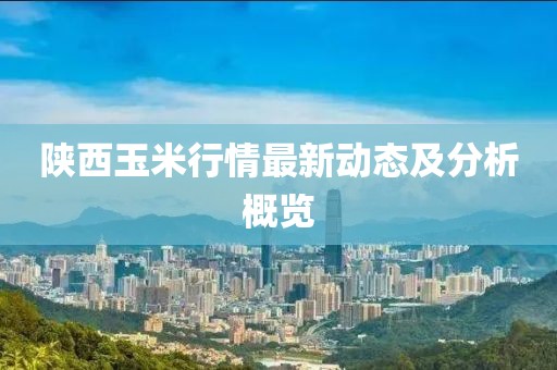 陕西玉米行情最新动态及分析概览