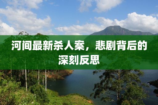 河间最新杀人案，悲剧背后的深刻反思