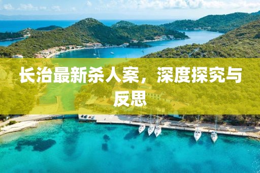 长治最新杀人案，深度探究与反思
