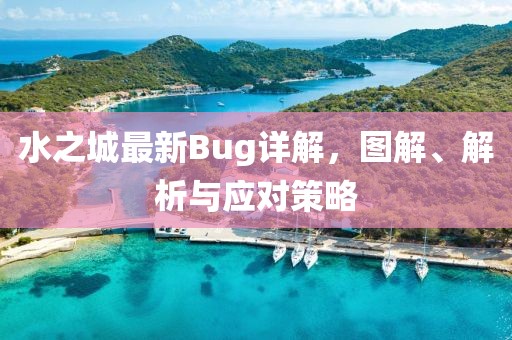 水之城最新Bug详解，图解、解析与应对策略
