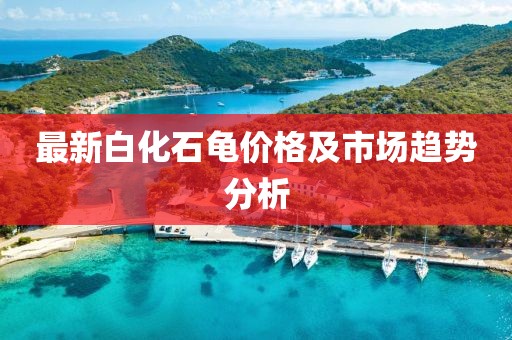 最新白化石龟价格及市场趋势分析