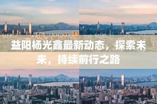 益阳杨光鑫最新动态，探索未来，持续前行之路