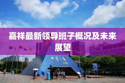 嘉祥最新领导班子概况及未来展望