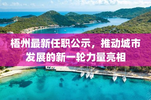 梧州最新任职公示，推动城市发展的新一轮力量亮相