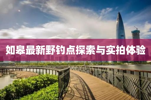 如皋最新野钓点探索与实拍体验
