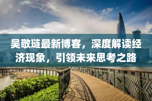 吴敬琏最新博客，深度解读经济现象，引领未来思考之路