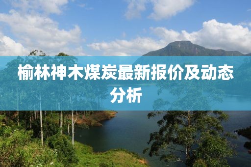 榆林神木煤炭最新报价及动态分析
