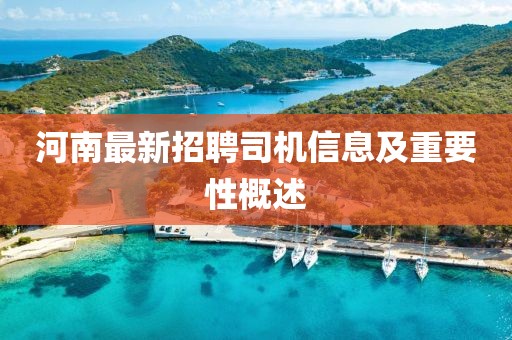 河南最新招聘司机信息及重要性概述