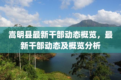 嵩明县最新干部动态概览，最新干部动态及概览分析