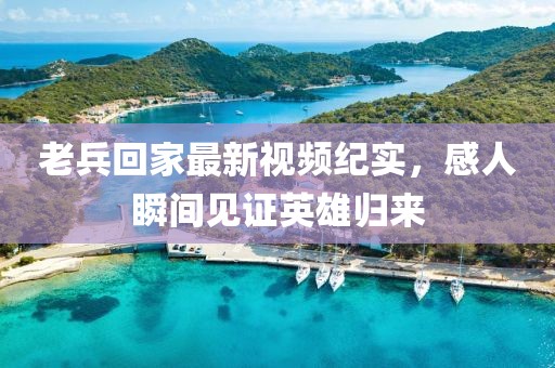 老兵回家最新视频纪实，感人瞬间见证英雄归来
