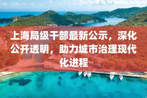 上海局级干部最新公示，深化公开透明，助力城市治理现代化进程