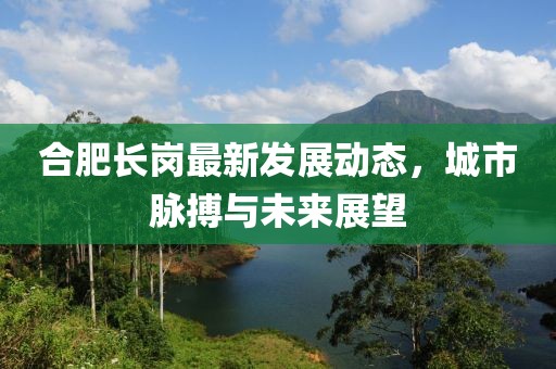 合肥长岗最新发展动态，城市脉搏与未来展望
