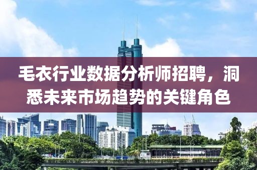 毛衣行业数据分析师招聘，洞悉未来市场趋势的关键角色