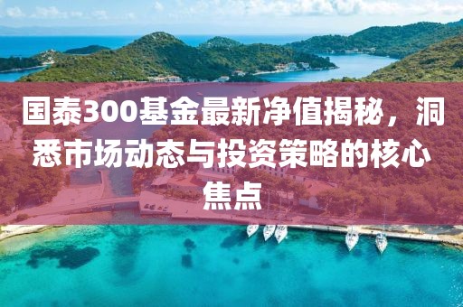 国泰300基金最新净值揭秘，洞悉市场动态与投资策略的核心焦点