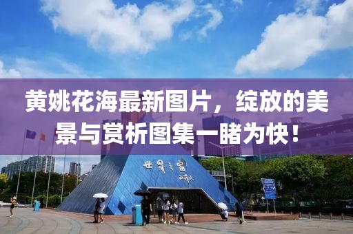 黄姚花海最新图片，绽放的美景与赏析图集一睹为快！