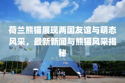荷兰熊猫展现两国友谊与萌态风采，最新新闻与熊猫风采揭秘