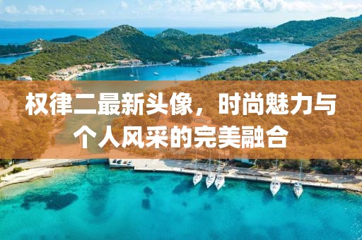 权律二最新头像，时尚魅力与个人风采的完美融合
