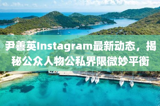 尹善英Instagram最新动态，揭秘公众人物公私界限微妙平衡