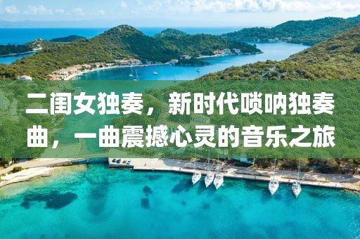 二闺女独奏，新时代唢呐独奏曲，一曲震撼心灵的音乐之旅