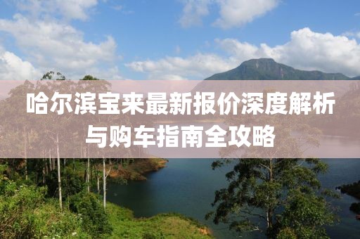 哈尔滨宝来最新报价深度解析与购车指南全攻略