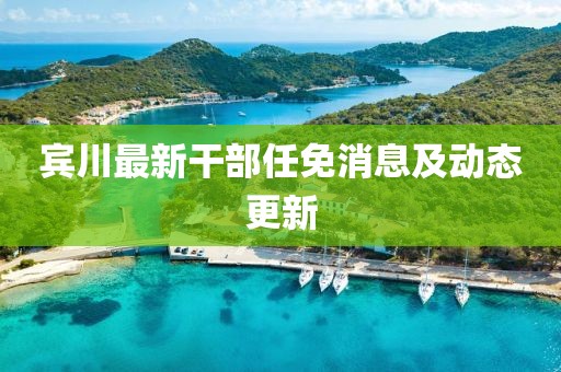 宾川最新干部任免消息及动态更新
