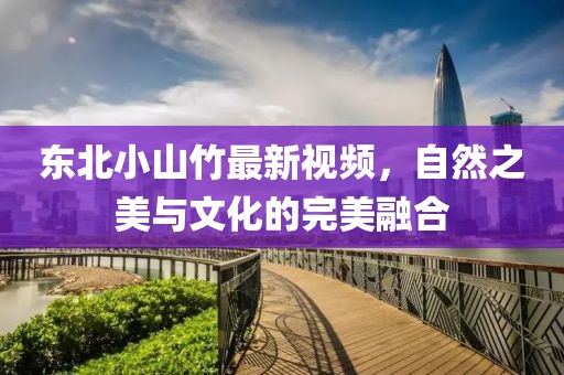 东北小山竹最新视频，自然之美与文化的完美融合