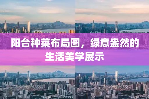 阳台种菜布局图，绿意盎然的生活美学展示