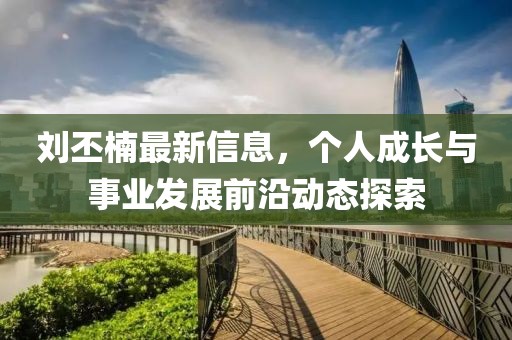 刘丕楠最新信息，个人成长与事业发展前沿动态探索