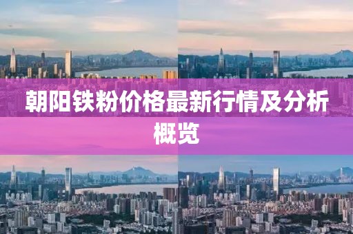 朝阳铁粉价格最新行情及分析概览