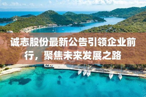 诚志股份最新公告引领企业前行，聚焦未来发展之路