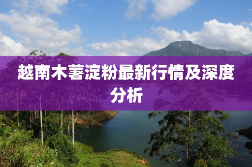 越南木薯淀粉最新行情及深度分析